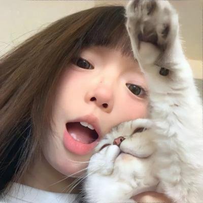 六人帮